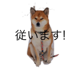 762065256