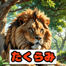 762065628