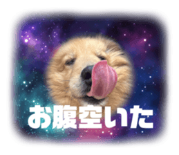 762066860