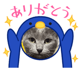 762067991