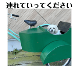 762069321