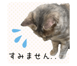 762110642