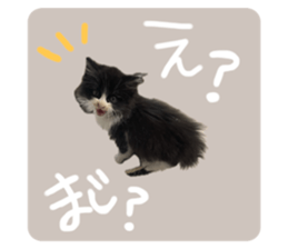 762110846