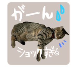 762110852