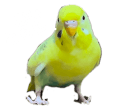 762116670