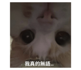 762130086