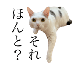 762130820