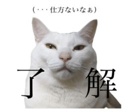 762130824
