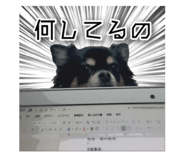 762135252