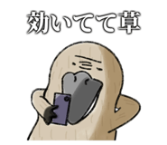 762136443