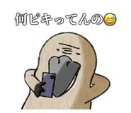 762136446