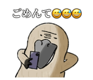 762136447