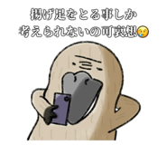 762136455