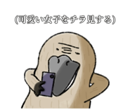762136464