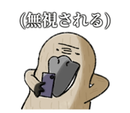 762136465