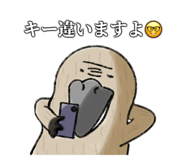 762136466