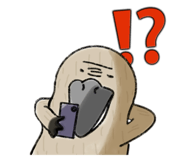 762136480