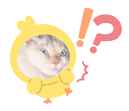 762137760