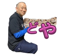 762143685