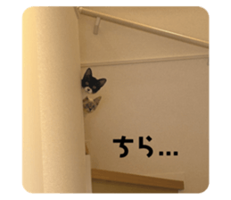 762147716