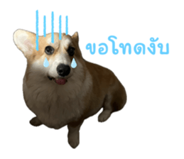 762151820