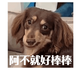 762177498
