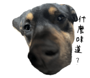 762184174