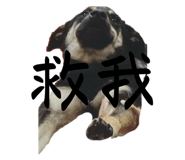 762184193