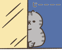762192239
