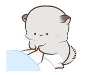 762222428