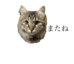 762233022