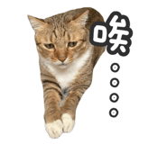 762234168