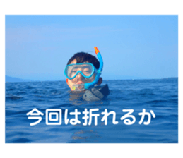 762238204