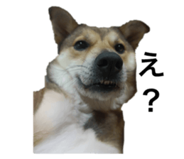 762245663