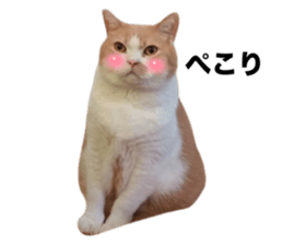 762246408