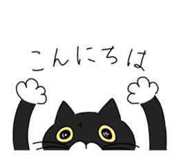 762254425