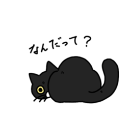 762254453