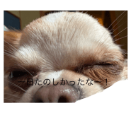 762256399