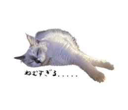 762262253