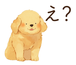 762266846