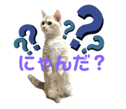 762266934