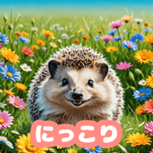 762267121