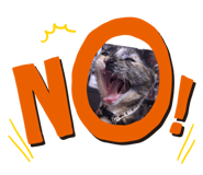 762273657