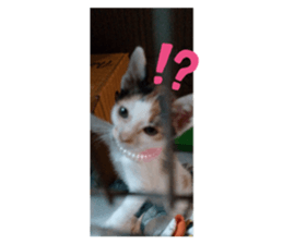 762273677