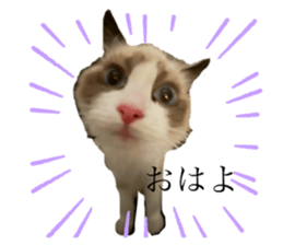 762274867