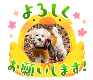 762276228