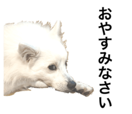 762278166