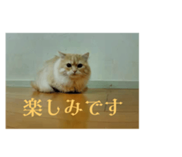762294858