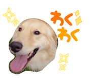 762299198