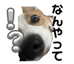 762305806